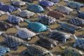 ballet de tortues - les tortues