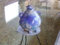 Tortue bleue - les tortues