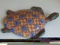 Tortue Disco - les tortues
