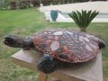 martherubes - les tortues