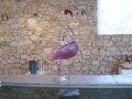 le flamant rose - les oiseaux