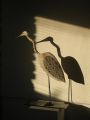 Ombre chinoise - les oiseaux